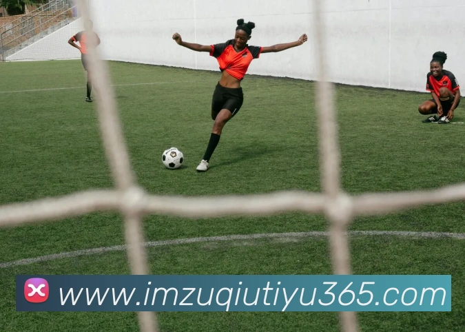 IM体育APP 封面图